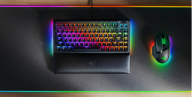 BlackWidow V4 75%