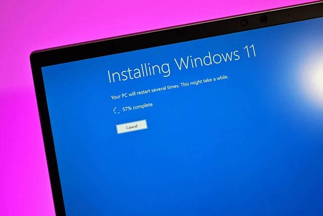 Windows 11