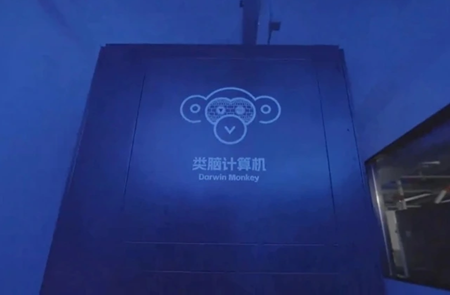 Darwin Monkey