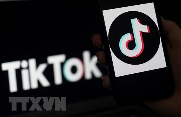 Meta chi bộn tiền thực hiện chiến dịch nhằm giảm sức hút của TikTok