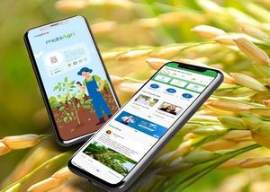 Bí quyết để trở thành nhà nông thông thái trong thời đại 4.0 với mobiAgri