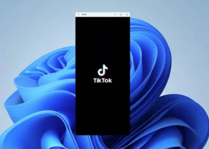 Tính năng được kỳ vọng nhất trên Windows 11 bất ngờ bị khai tử