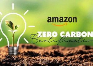 Amazon đạt mục tiêu 100% năng lượng tái tạo sớm hơn 7 năm