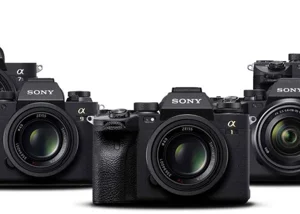 Sony thống trị thị trường máy ảnh mirroless Bắc Mỹ