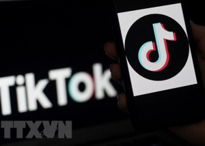 Meta chi bộn tiền thực hiện chiến dịch nhằm giảm sức hút của TikTok