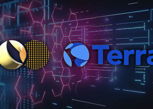 Hàn Quốc điều tra Terraform Labs sau khi Luna sụp đổ