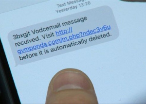 Cảnh sát châu Âu đánh sập hệ thống phát tán FluBot