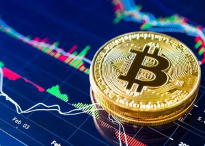 Nam Phi đã dần thân thiện hơn với crypto