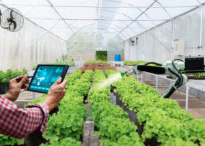 Ứng dụng IoT: Xu hướng tương lai của doanh nghiệp