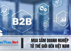 Mua sắm doanh nghiệp: Từ thế giới đến Việt Nam