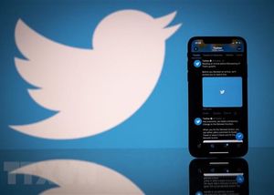 Cổ phiếu Twitter sắp bị đình chỉ giao dịch