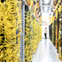 Amazon Web Services ra mắt Local Zone đầu tiên tại Việt Nam