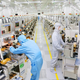 Lợi nhuận ngành sản xuất chip Trung Quốc tăng hơn 2.500%