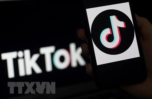 Meta chi bộn tiền thực hiện chiến dịch nhằm giảm sức hút của TikTok
